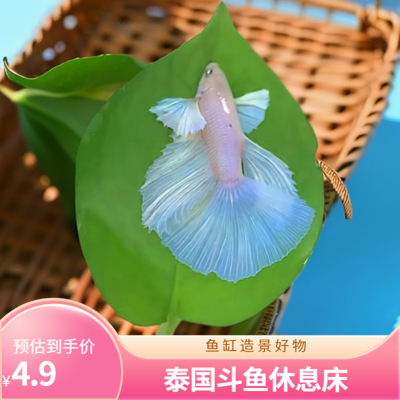 斗鱼pc客户端绿色斗鱼pc客户端下载官网-第2张图片-太平洋在线下载