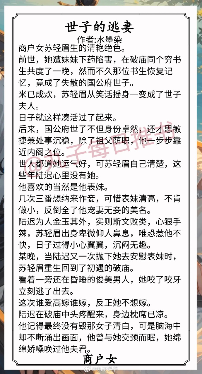 说书小说软件苹果版网页小说提取成txt工具