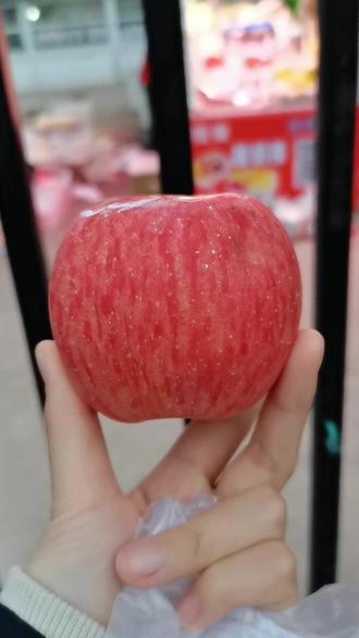 大苹果河北版大苹果小说全集